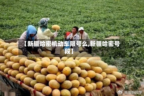 【新疆哈密机动车限号么,新疆哈密号段】