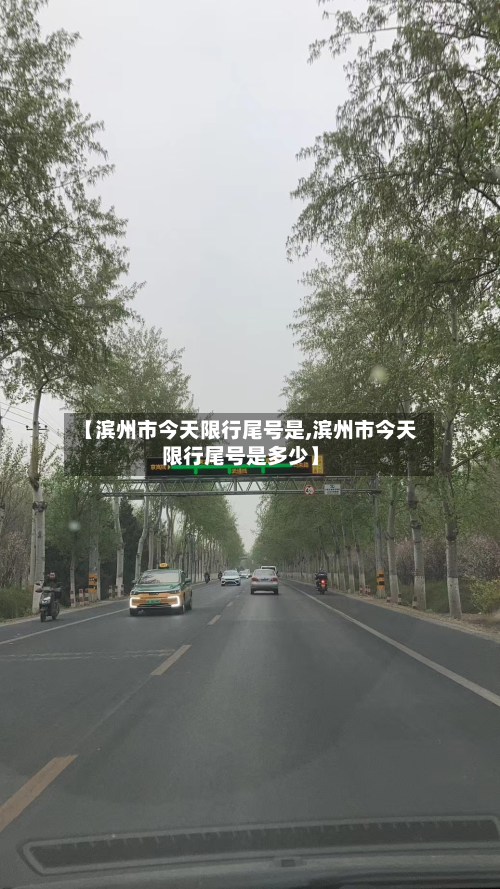【滨州市今天限行尾号是,滨州市今天限行尾号是多少】-第2张图片