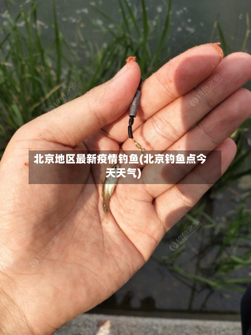 北京地区最新疫情钓鱼(北京钓鱼点今天天气)-第2张图片