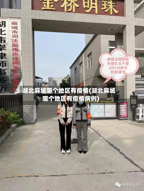 湖北麻城哪个地区有疫情(湖北麻城哪个地区有疫情病例)-第2张图片