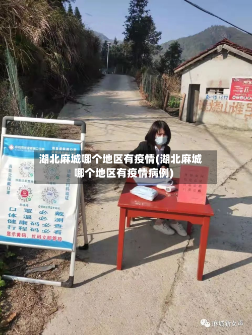 湖北麻城哪个地区有疫情(湖北麻城哪个地区有疫情病例)-第3张图片