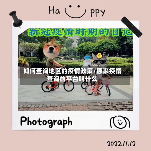 如何查询地区的疫情政策/原来疫情查询的平台叫什么-第3张图片