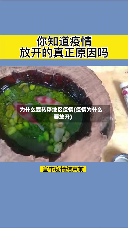 为什么要转移地区疫情(疫情为什么要放开)-第3张图片