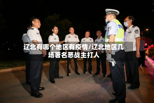 辽北有哪个地区有疫情/辽北地区几场著名恶战主打人-第2张图片