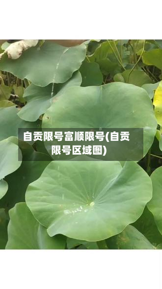 自贡限号富顺限号(自贡限号区域图)