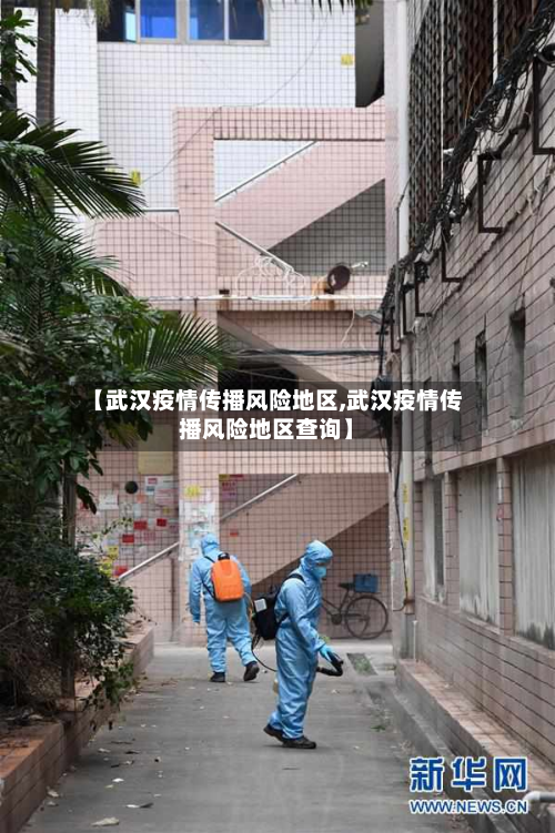 【武汉疫情传播风险地区,武汉疫情传播风险地区查询】