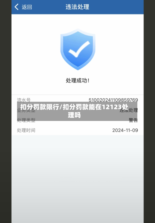 扣分罚款限行/扣分罚款能在12123处理吗-第2张图片