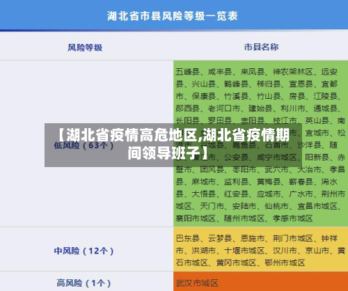 【湖北省疫情高危地区,湖北省疫情期间领导班子】