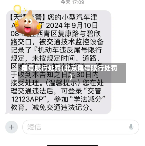 尾号限行处罚(北京尾号限行处罚)-第2张图片