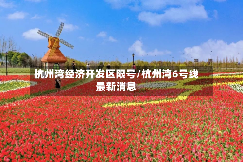 杭州湾经济开发区限号/杭州湾6号线最新消息-第2张图片
