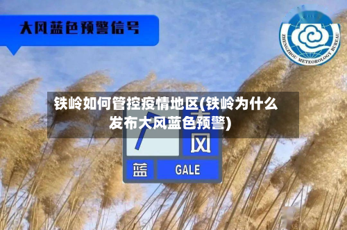 铁岭如何管控疫情地区(铁岭为什么发布大风蓝色预警)-第2张图片