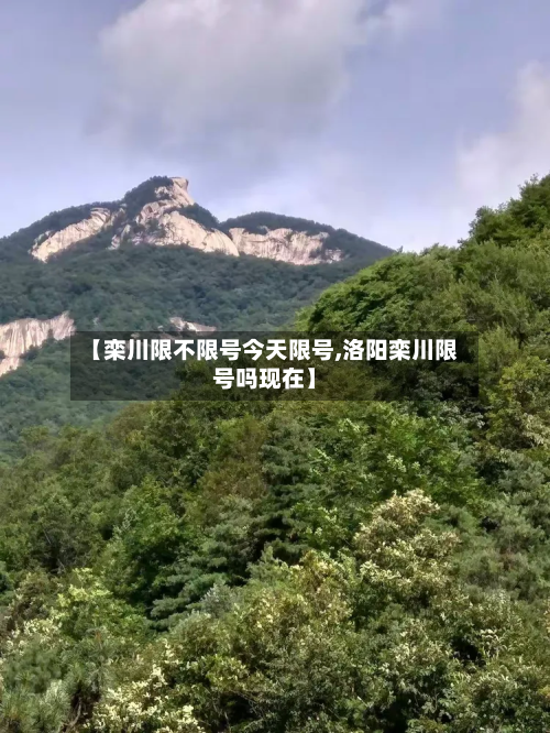 【栾川限不限号今天限号,洛阳栾川限号吗现在】