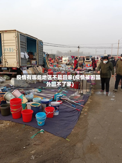疫情有哪些地区不能回家(疫情被困国外回不了家)