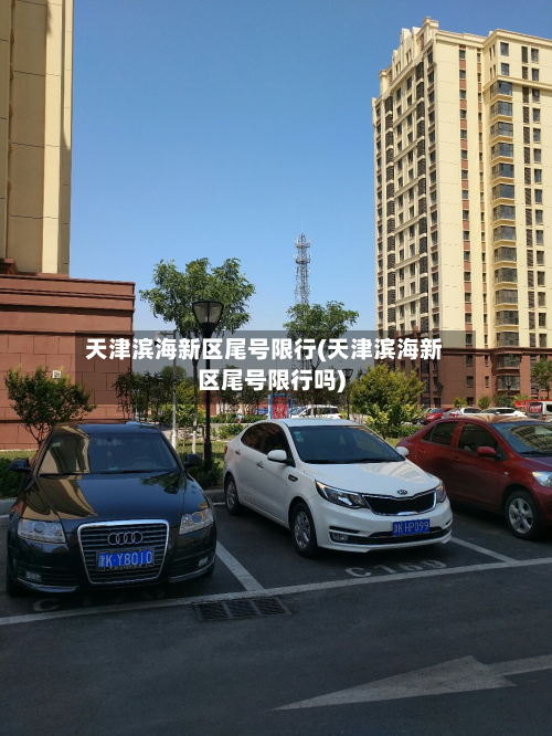 天津滨海新区尾号限行(天津滨海新区尾号限行吗)-第2张图片