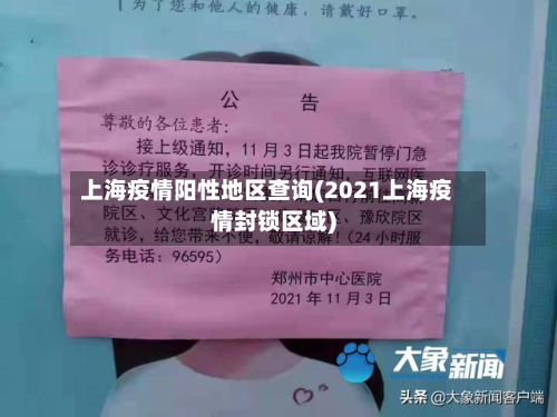上海疫情阳性地区查询(2021上海疫情封锁区域)-第2张图片