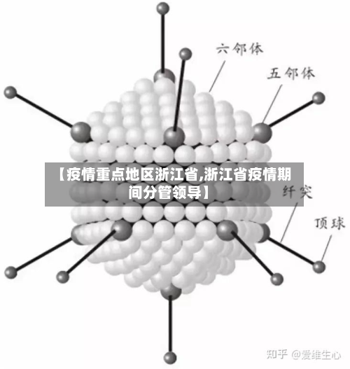 【疫情重点地区浙江省,浙江省疫情期间分管领导】