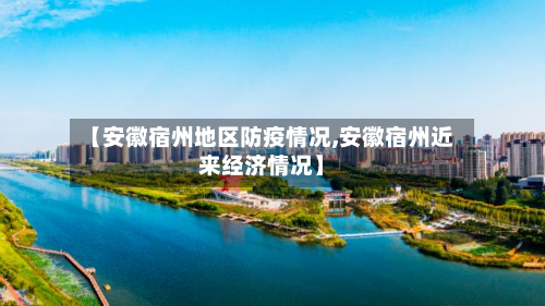 【安徽宿州地区防疫情况,安徽宿州近来经济情况】-第3张图片