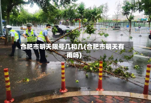 合肥市明天限号几和几(合肥市明天有雨吗)