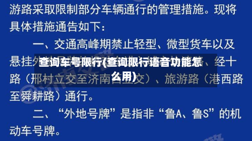 查询车号限行(查询限行语音功能怎么用)
