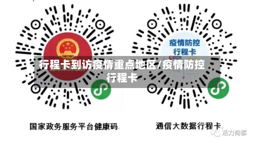 行程卡到访疫情重点地区/疫情防控行程卡-第3张图片
