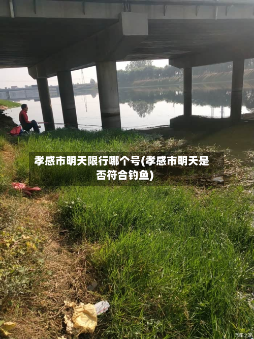 孝感市明天限行哪个号(孝感市明天是否符合钓鱼)