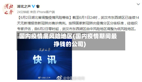 国内疫情底风险地区(国内疫情期间最挣钱的公司)