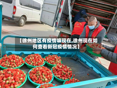 【徐州地区有疫情嘛现在,徐州现在如何查看新冠疫情情况】-第3张图片