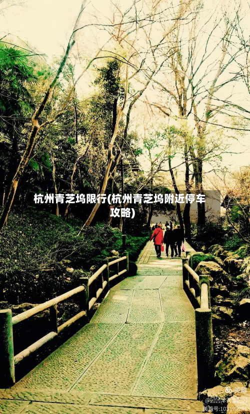 杭州青芝坞限行(杭州青芝坞附近停车攻略)-第2张图片