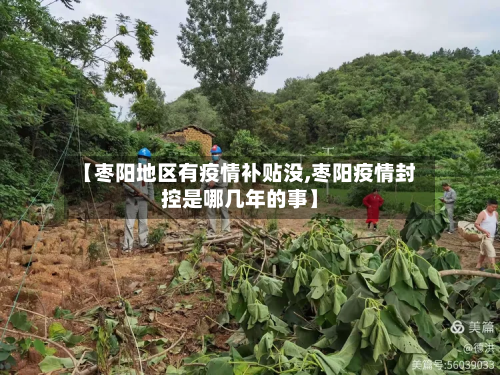【枣阳地区有疫情补贴没,枣阳疫情封控是哪几年的事】-第2张图片