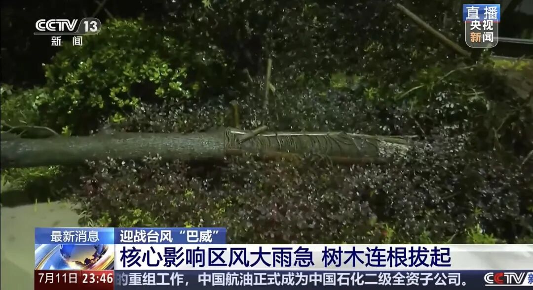 “巴威	”最新路径公布！0时在浙江乐清二次登陆	，5时减弱为强热带风暴，中心最大风力11级