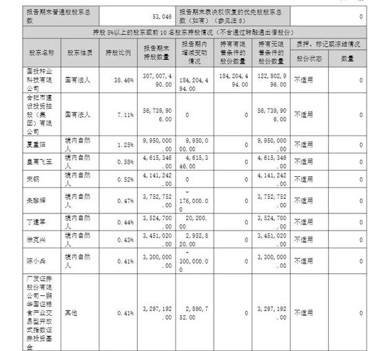 半年报亏损扩大，牛散逆势买入国投丰乐